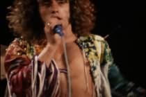 Pinball Wizard - Roger Daltrey